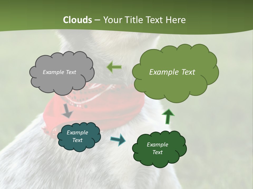 6 Week Old Blue Heeler Puppy Dog PowerPoint Template