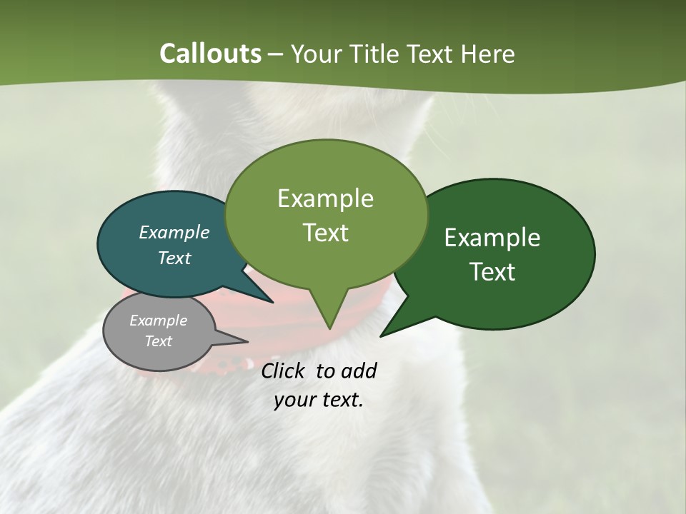 6 Week Old Blue Heeler Puppy Dog PowerPoint Template