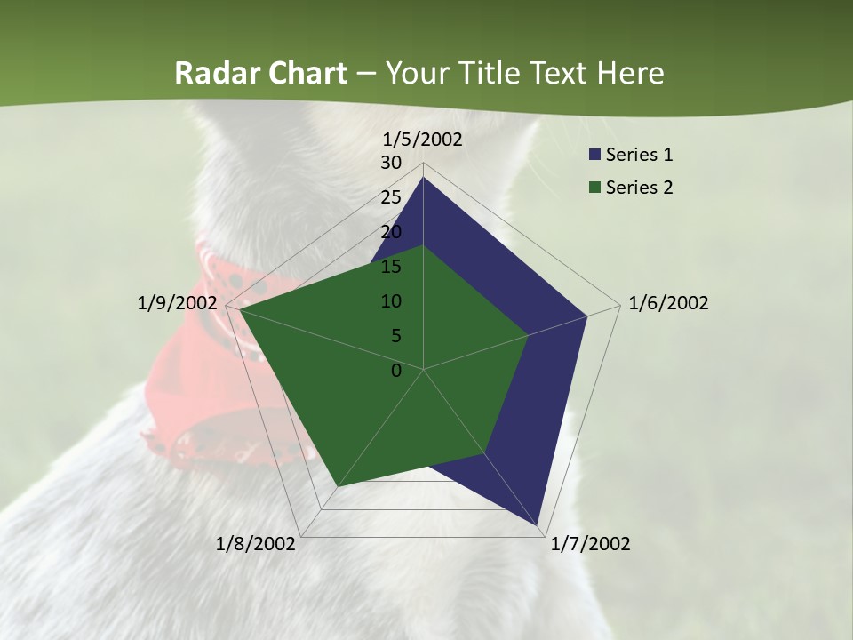 6 Week Old Blue Heeler Puppy Dog PowerPoint Template