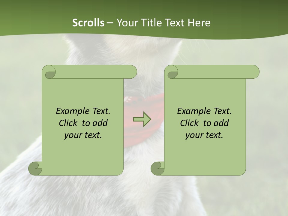 6 Week Old Blue Heeler Puppy Dog PowerPoint Template