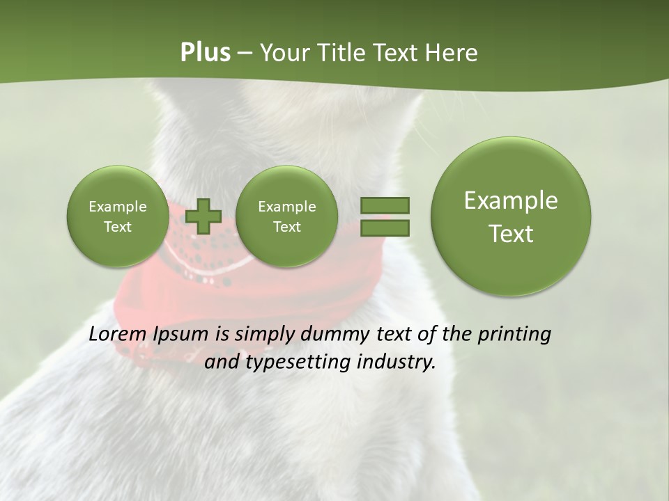 6 Week Old Blue Heeler Puppy Dog PowerPoint Template