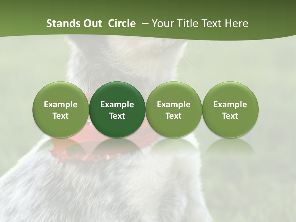 6 Week Old Blue Heeler Puppy Dog PowerPoint Template