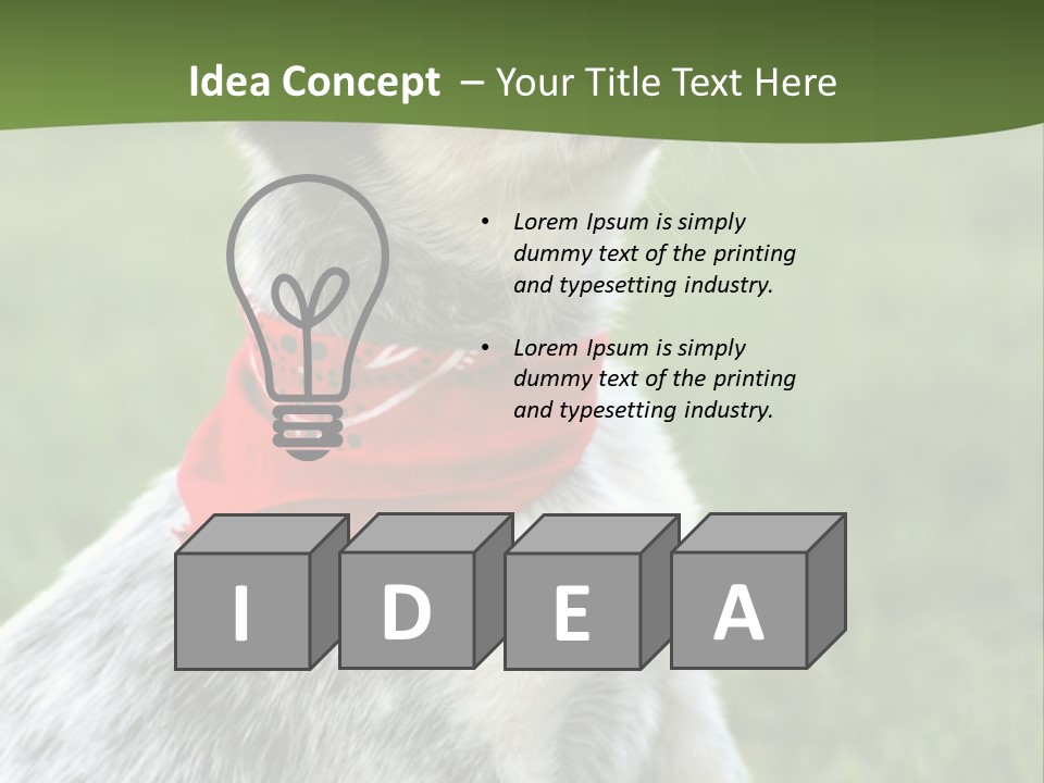 6 Week Old Blue Heeler Puppy Dog PowerPoint Template