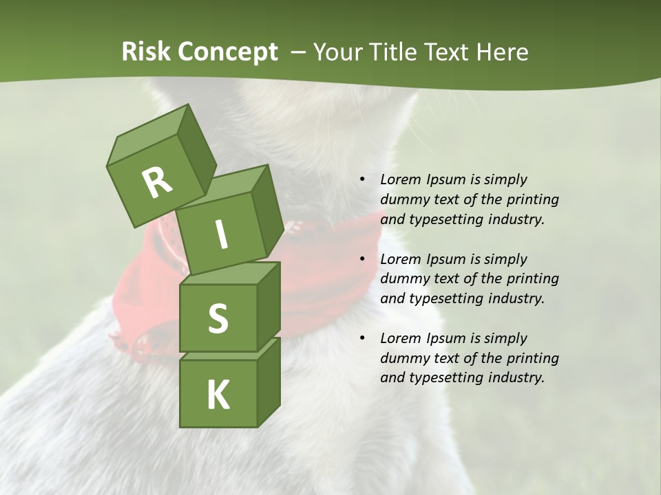 6 Week Old Blue Heeler Puppy Dog PowerPoint Template