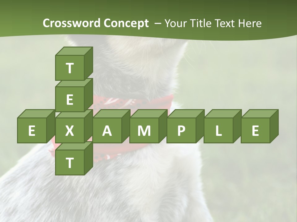 6 Week Old Blue Heeler Puppy Dog PowerPoint Template