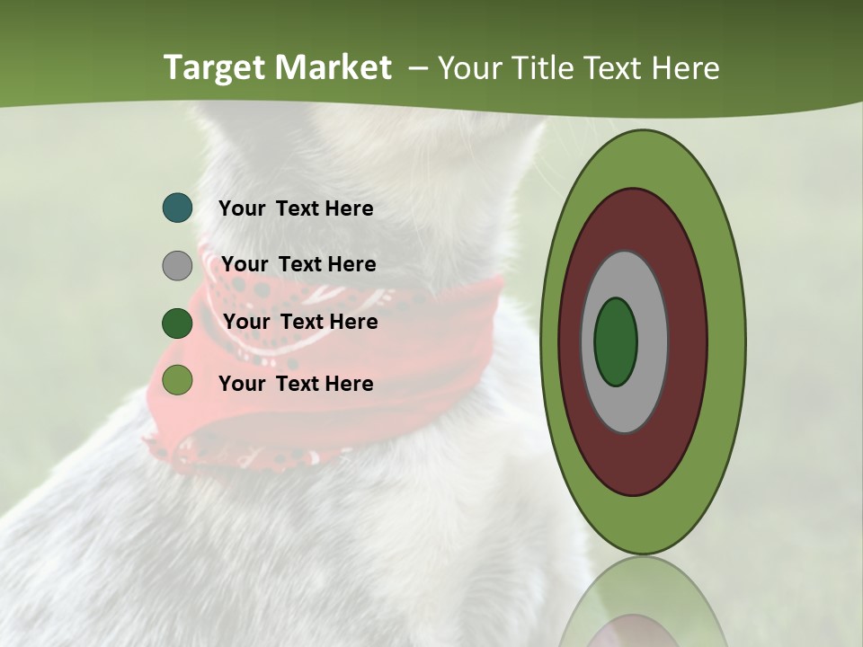 6 Week Old Blue Heeler Puppy Dog PowerPoint Template