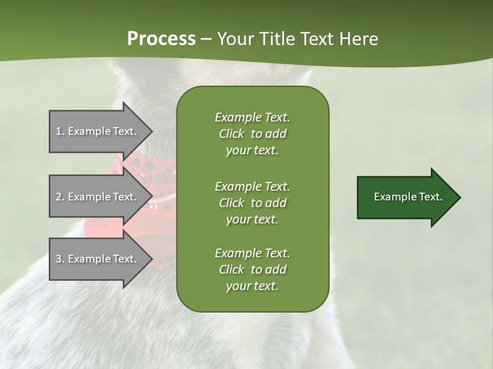 6 Week Old Blue Heeler Puppy Dog PowerPoint Template