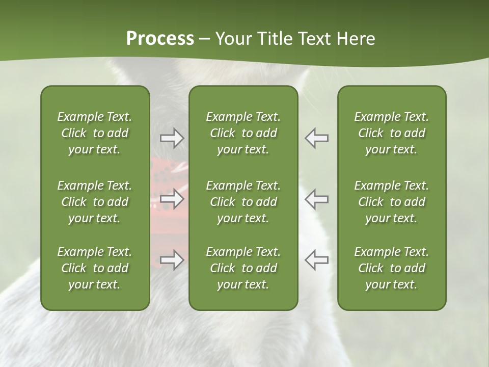 6 Week Old Blue Heeler Puppy Dog PowerPoint Template