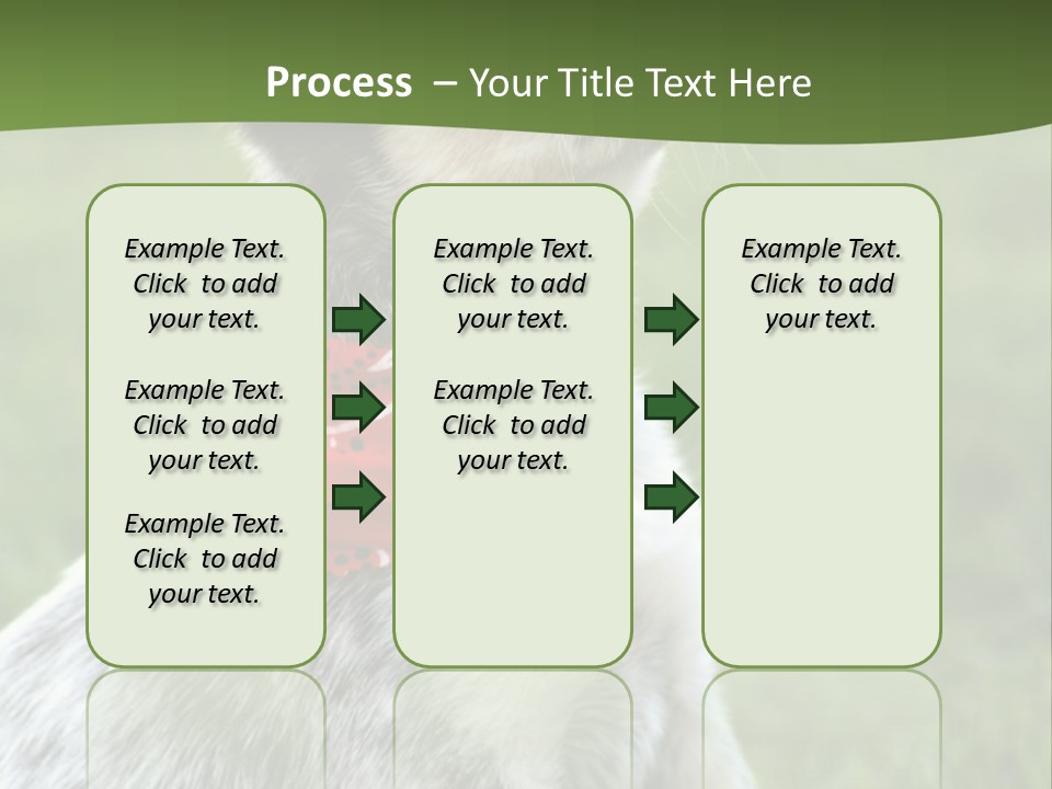6 Week Old Blue Heeler Puppy Dog PowerPoint Template