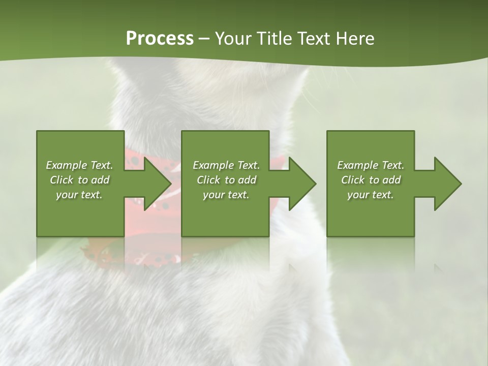 6 Week Old Blue Heeler Puppy Dog PowerPoint Template