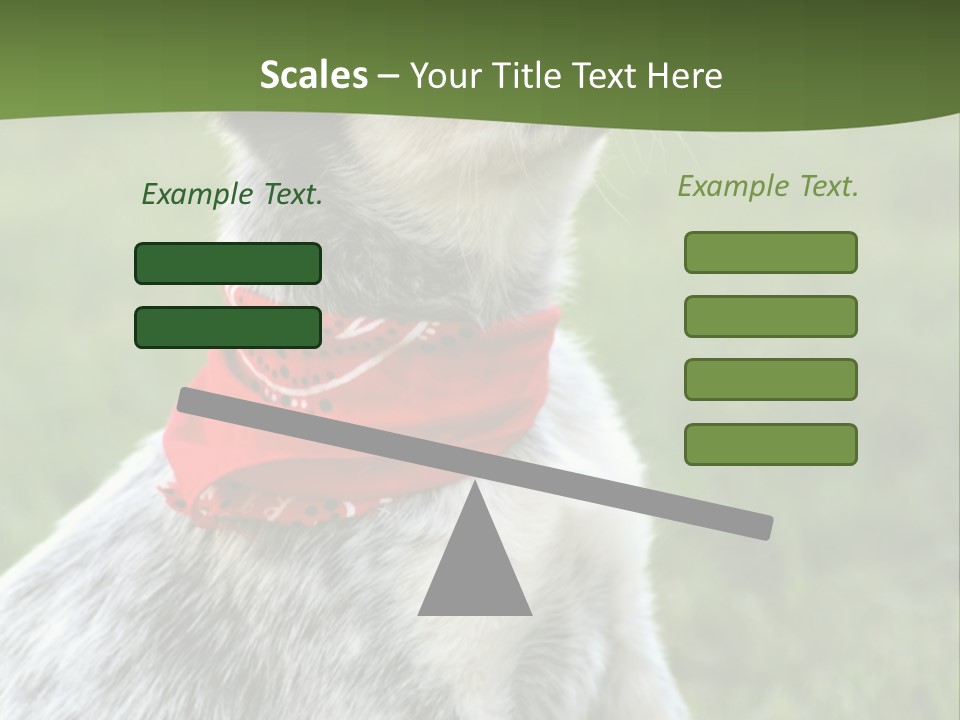 6 Week Old Blue Heeler Puppy Dog PowerPoint Template