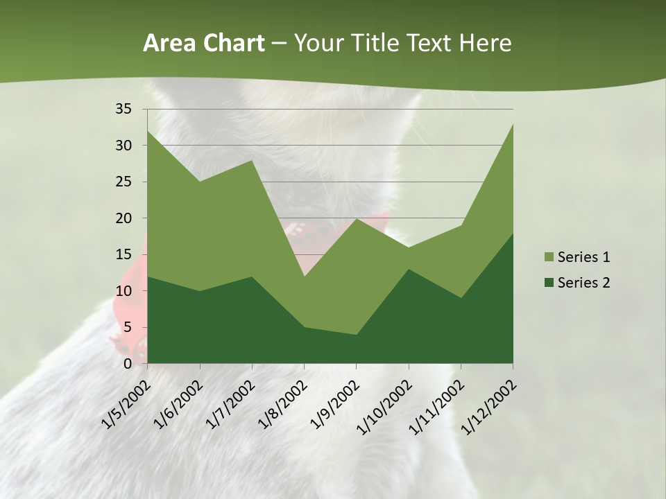 6 Week Old Blue Heeler Puppy Dog PowerPoint Template