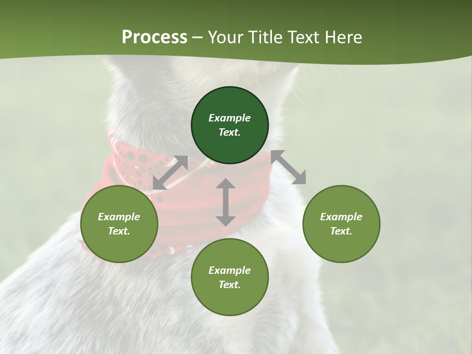 6 Week Old Blue Heeler Puppy Dog PowerPoint Template