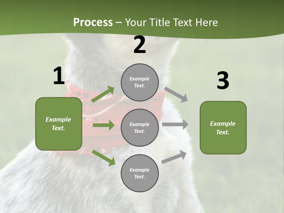6 Week Old Blue Heeler Puppy Dog PowerPoint Template