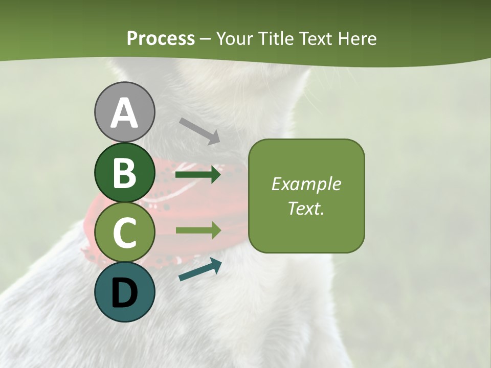 6 Week Old Blue Heeler Puppy Dog PowerPoint Template