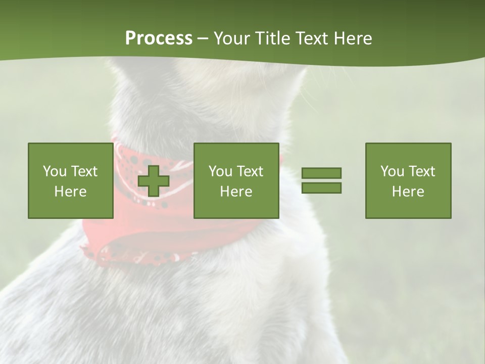 6 Week Old Blue Heeler Puppy Dog PowerPoint Template