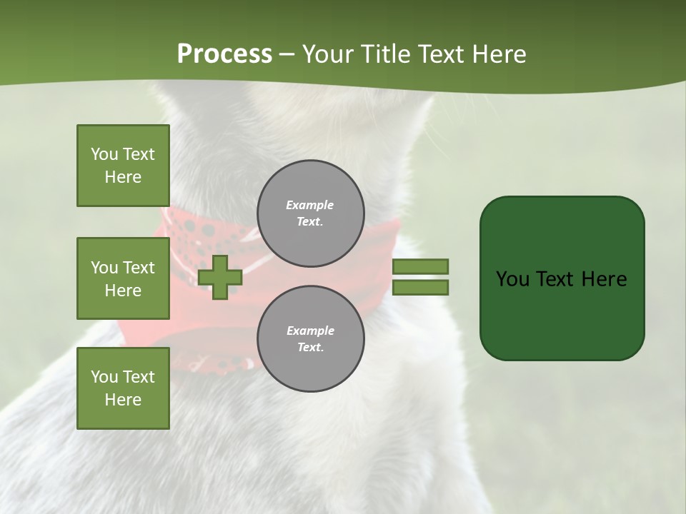 6 Week Old Blue Heeler Puppy Dog PowerPoint Template