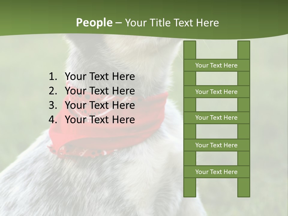 6 Week Old Blue Heeler Puppy Dog PowerPoint Template