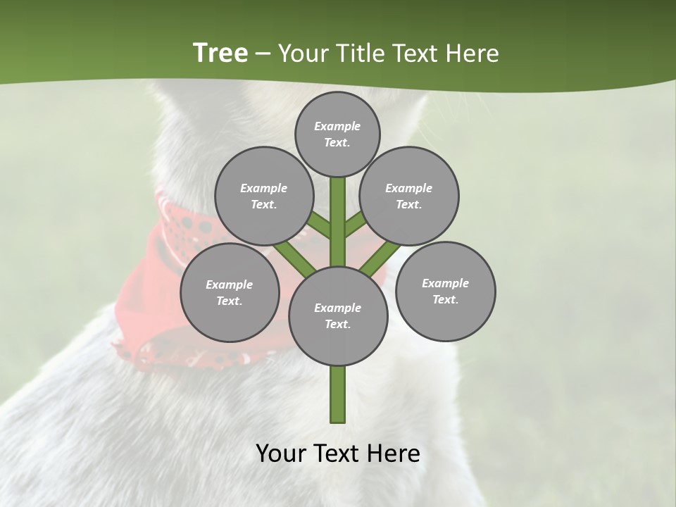 6 Week Old Blue Heeler Puppy Dog PowerPoint Template