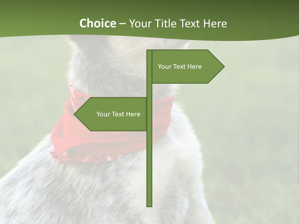 6 Week Old Blue Heeler Puppy Dog PowerPoint Template