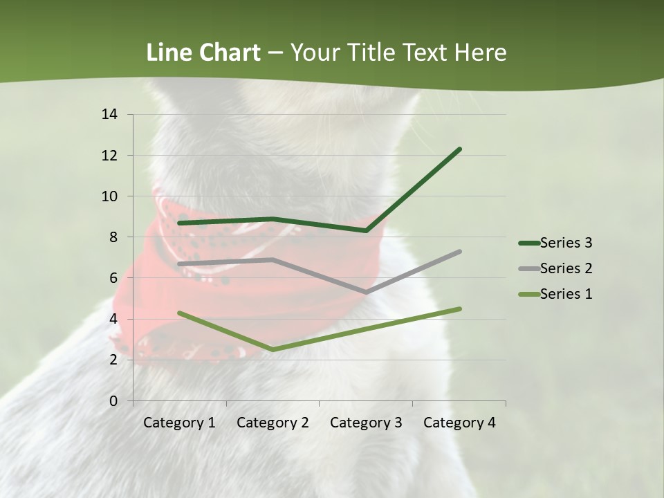 6 Week Old Blue Heeler Puppy Dog PowerPoint Template