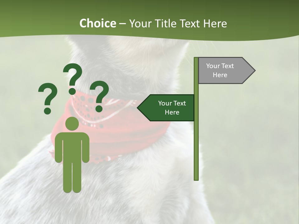 6 Week Old Blue Heeler Puppy Dog PowerPoint Template