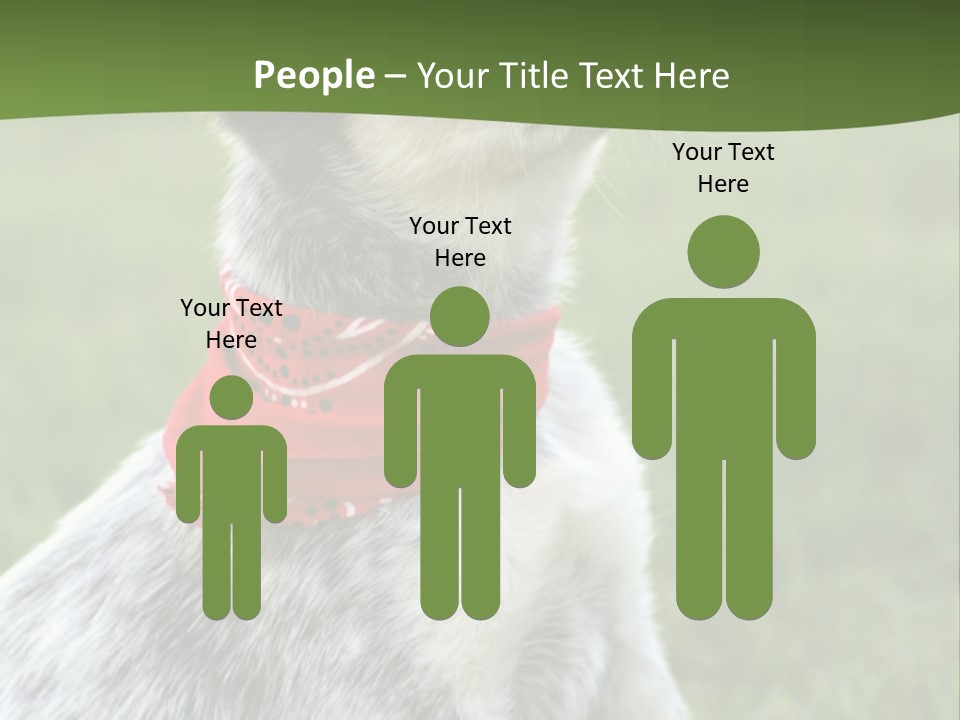 6 Week Old Blue Heeler Puppy Dog PowerPoint Template