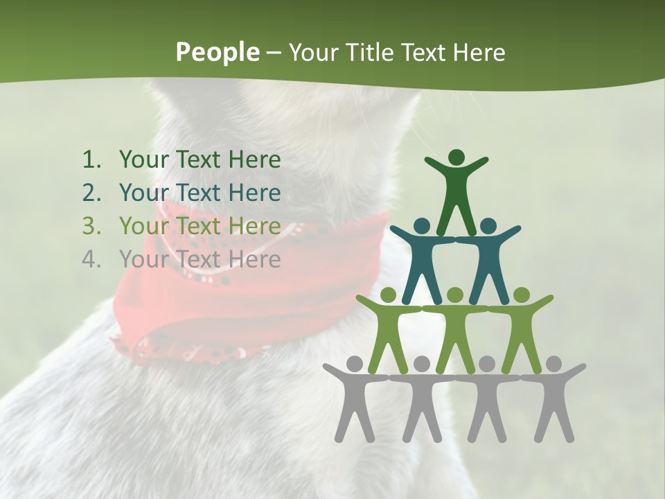 6 Week Old Blue Heeler Puppy Dog PowerPoint Template