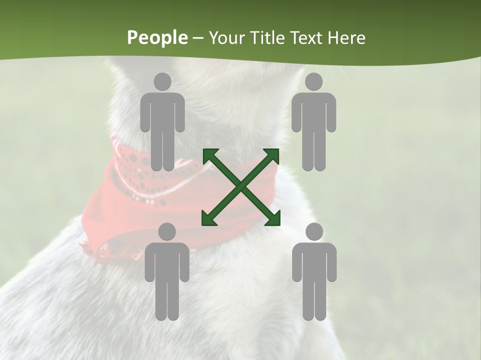 6 Week Old Blue Heeler Puppy Dog PowerPoint Template