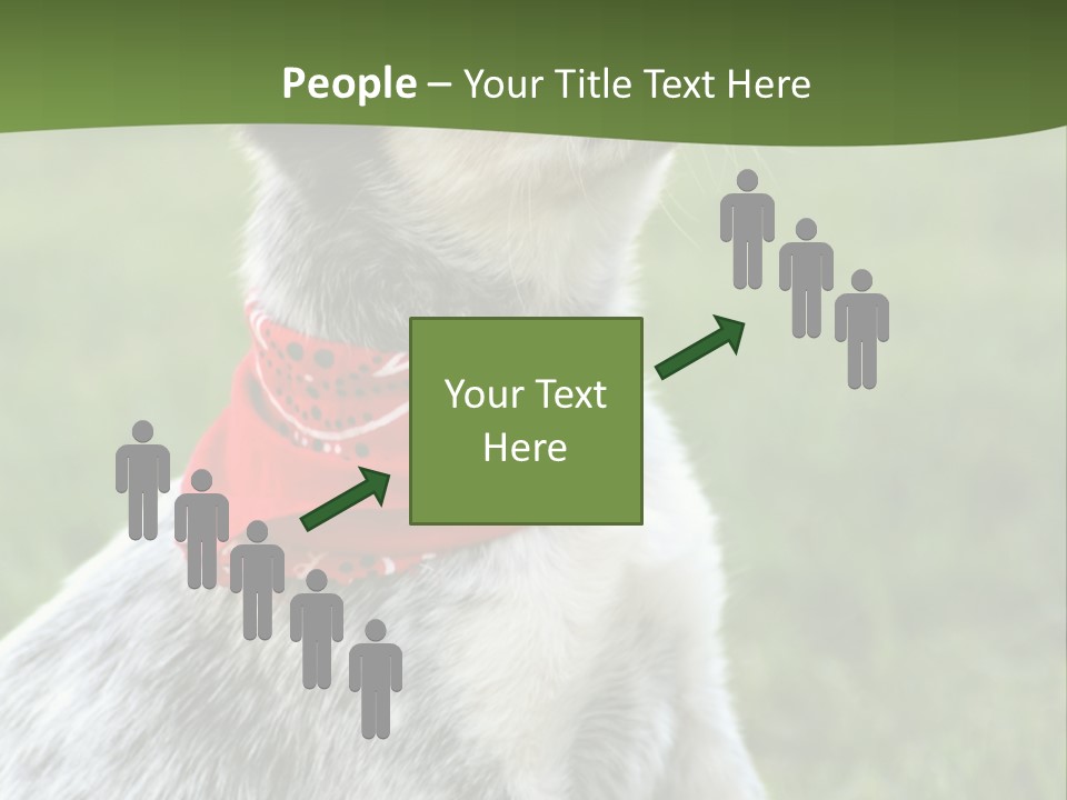 6 Week Old Blue Heeler Puppy Dog PowerPoint Template