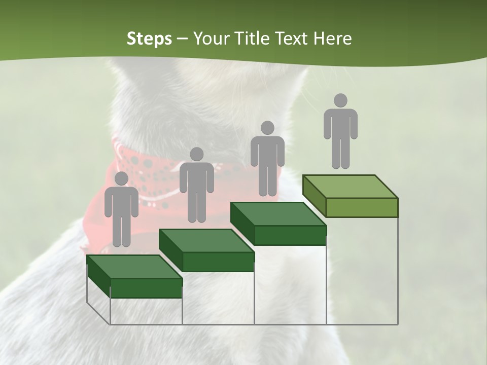 6 Week Old Blue Heeler Puppy Dog PowerPoint Template
