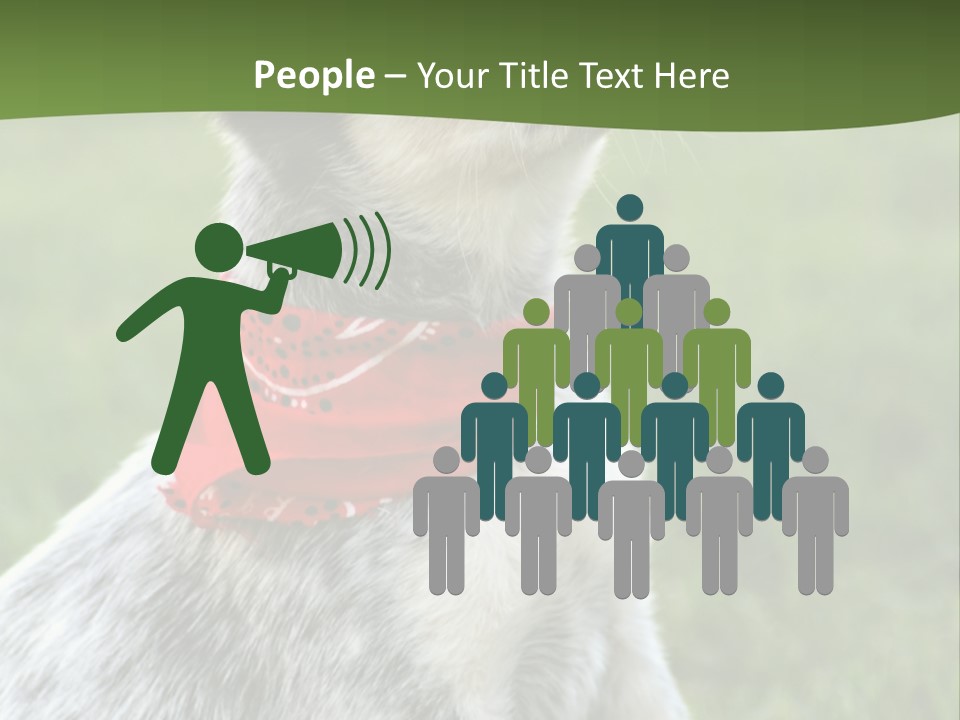 6 Week Old Blue Heeler Puppy Dog PowerPoint Template