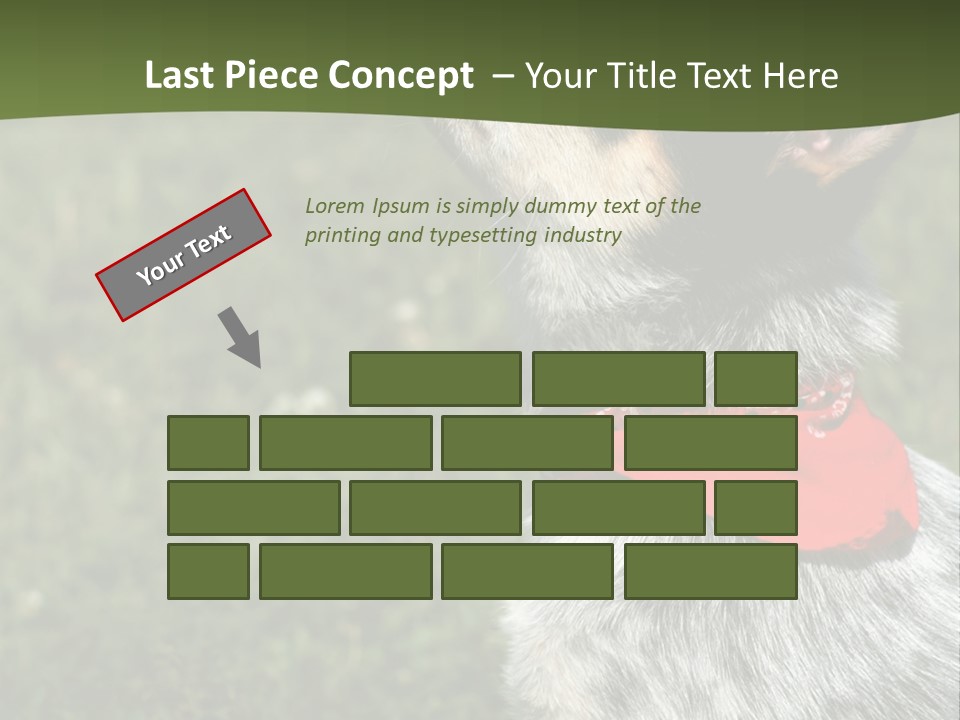 8 Week Old Blue Heeler Puppy Dog PowerPoint Template