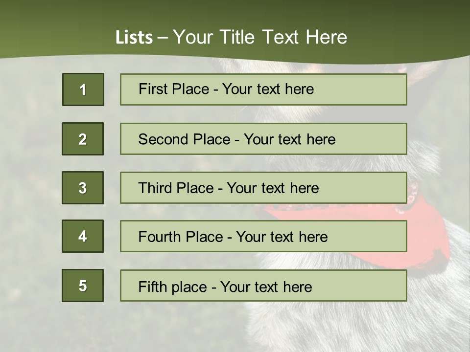 8 Week Old Blue Heeler Puppy Dog PowerPoint Template