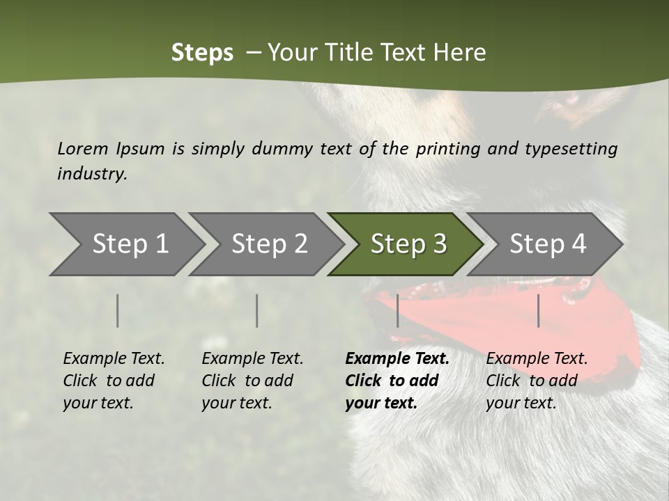 8 Week Old Blue Heeler Puppy Dog PowerPoint Template