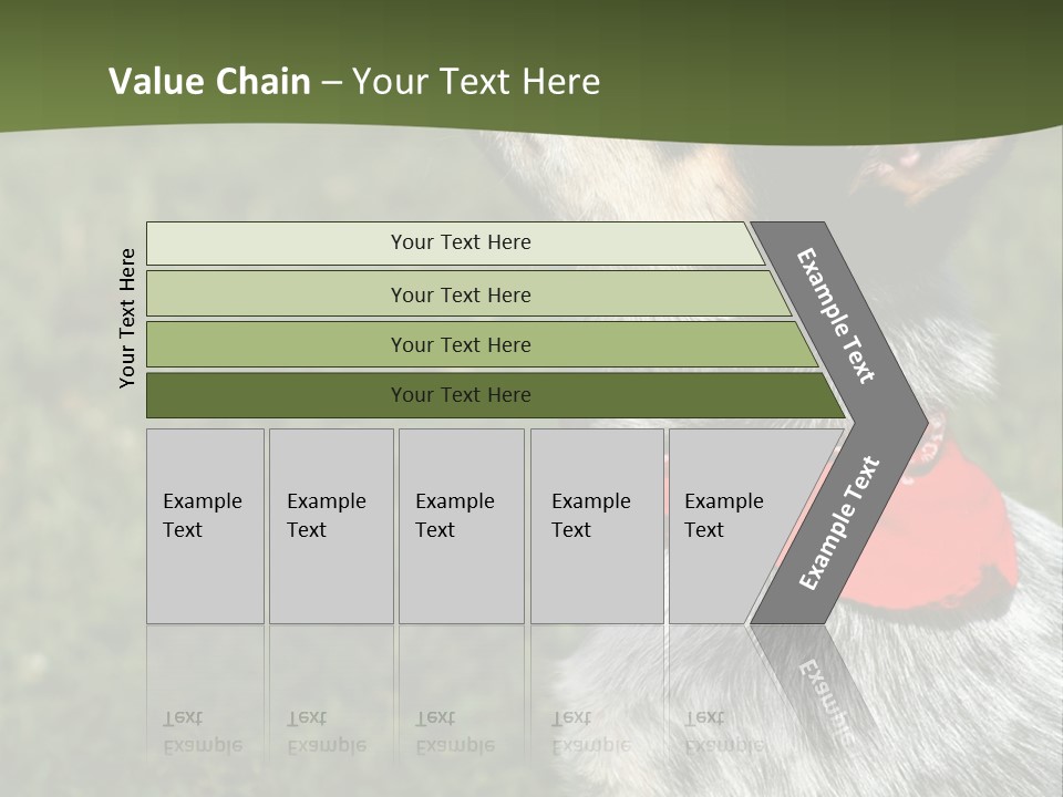 8 Week Old Blue Heeler Puppy Dog PowerPoint Template