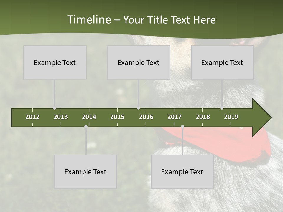 8 Week Old Blue Heeler Puppy Dog PowerPoint Template