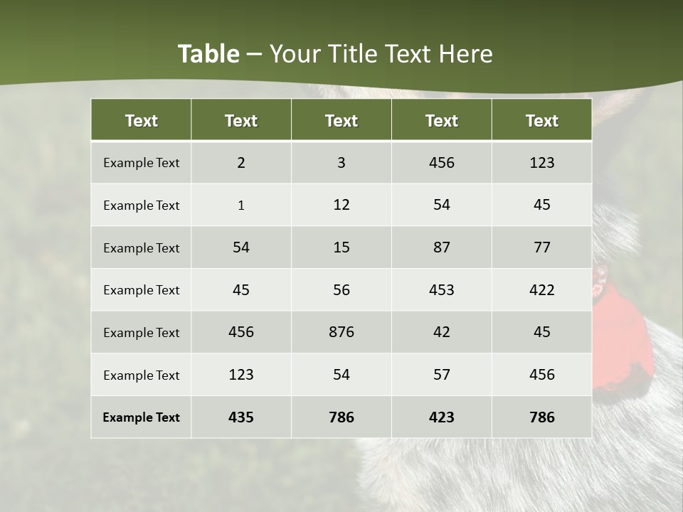 8 Week Old Blue Heeler Puppy Dog PowerPoint Template