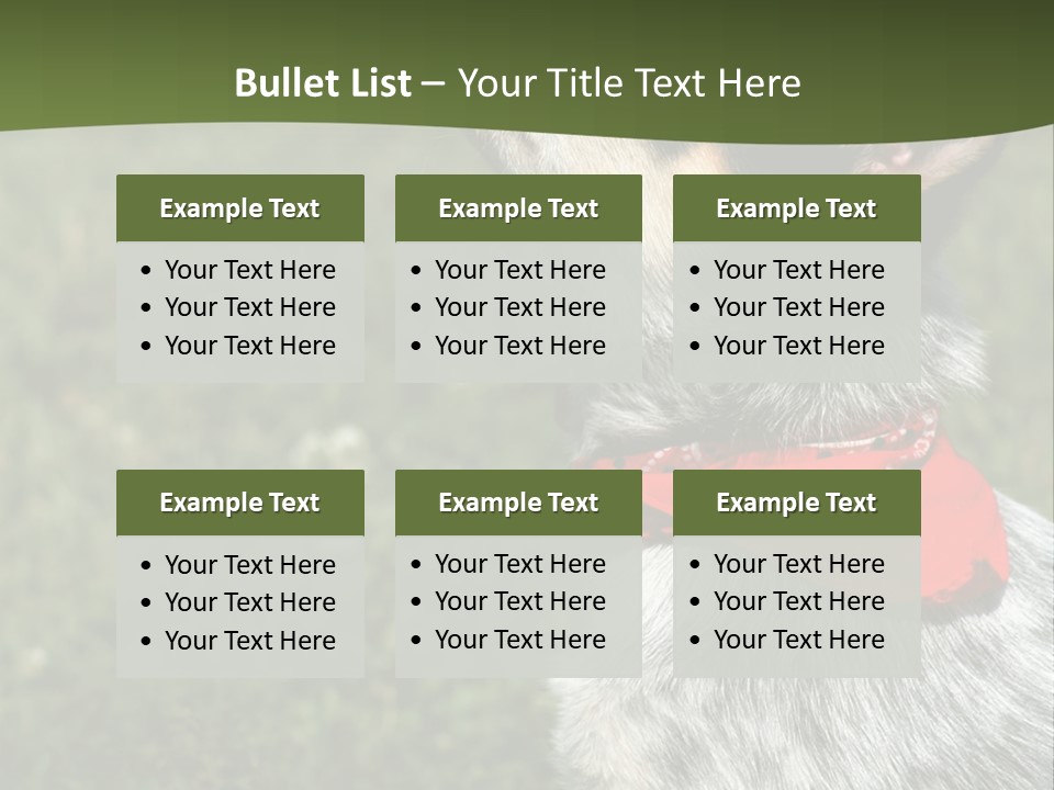 8 Week Old Blue Heeler Puppy Dog PowerPoint Template