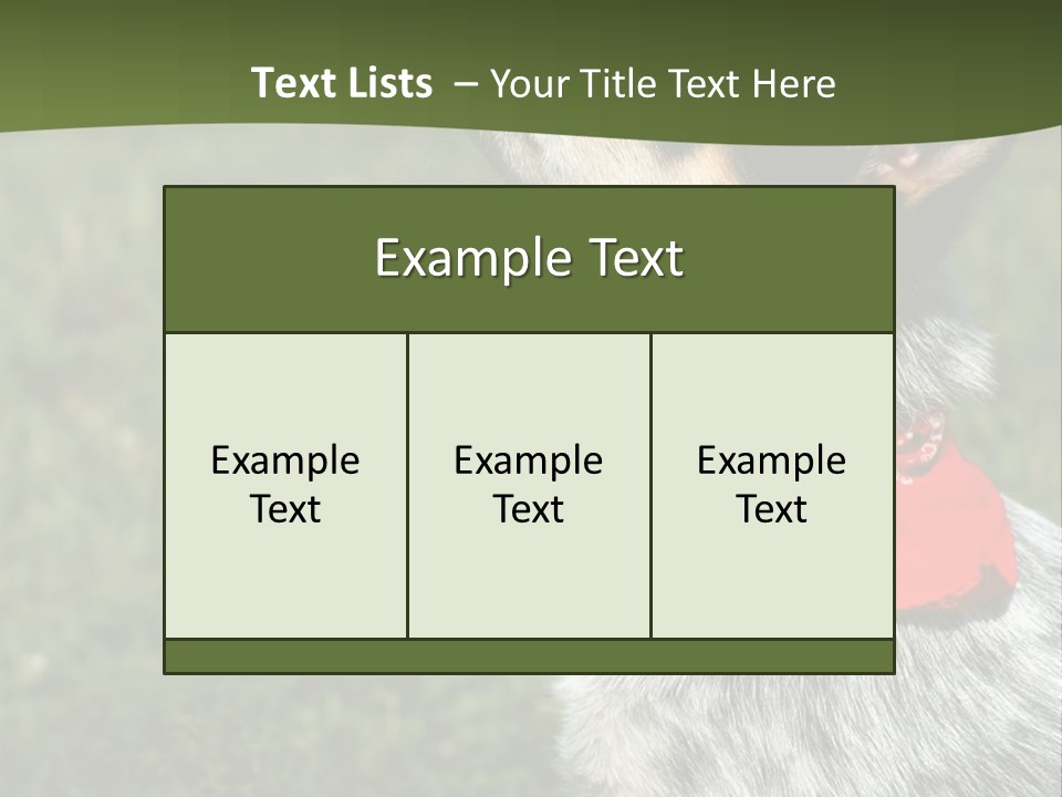 8 Week Old Blue Heeler Puppy Dog PowerPoint Template