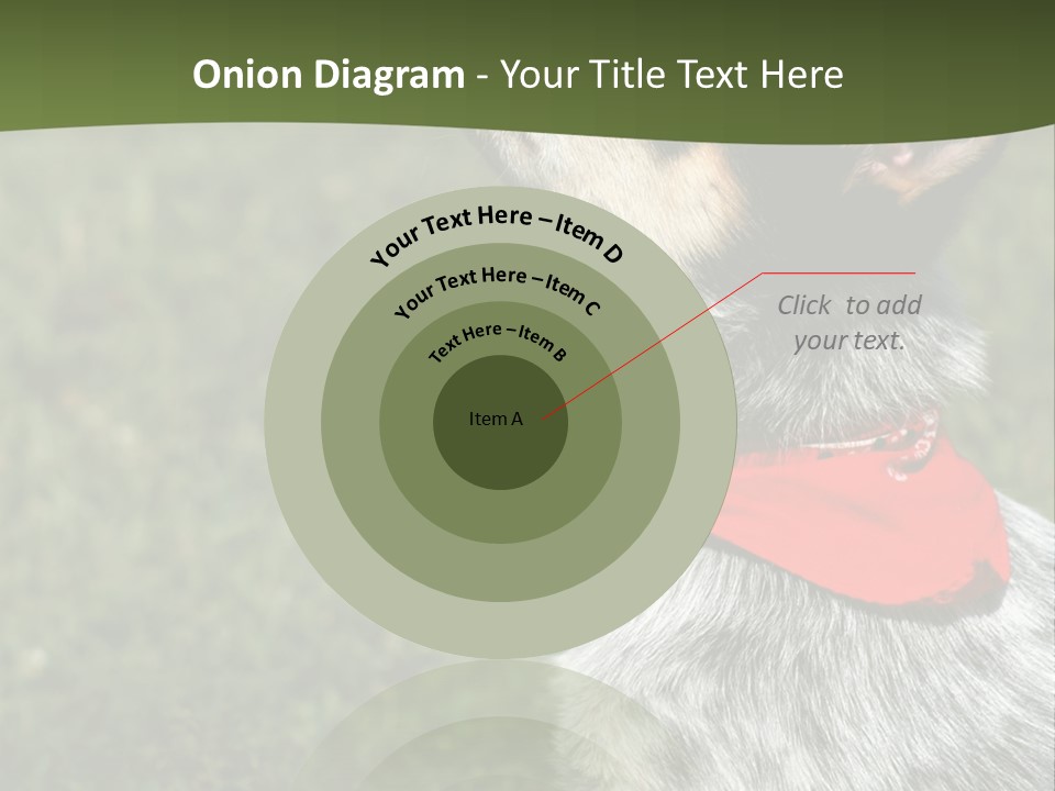 8 Week Old Blue Heeler Puppy Dog PowerPoint Template