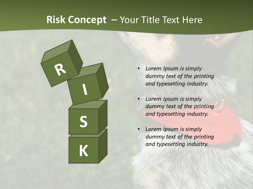 8 Week Old Blue Heeler Puppy Dog PowerPoint Template