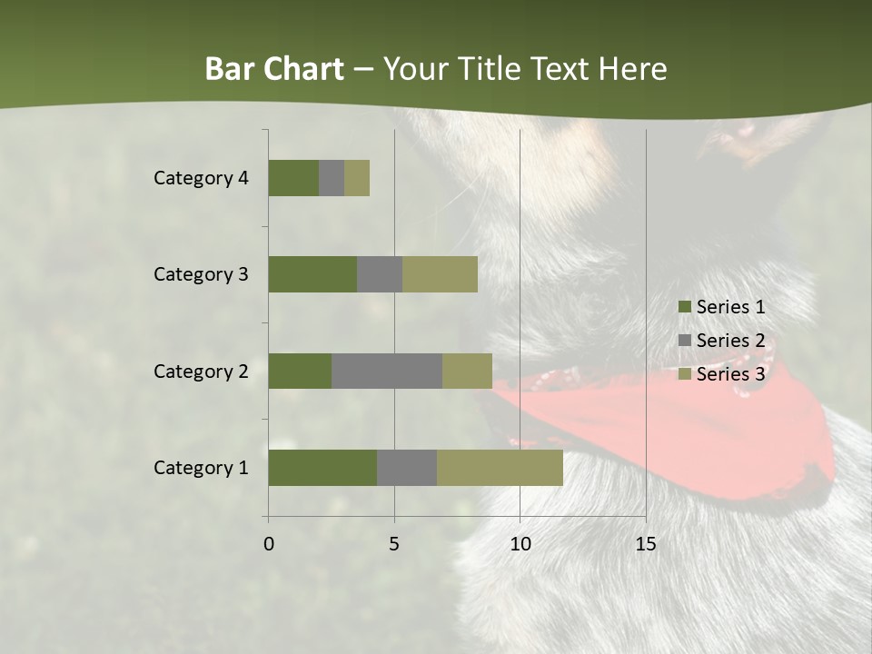 8 Week Old Blue Heeler Puppy Dog PowerPoint Template