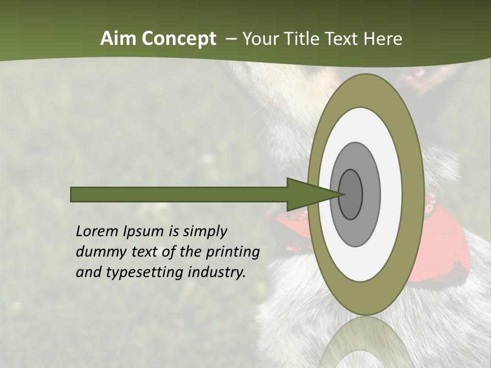 8 Week Old Blue Heeler Puppy Dog PowerPoint Template