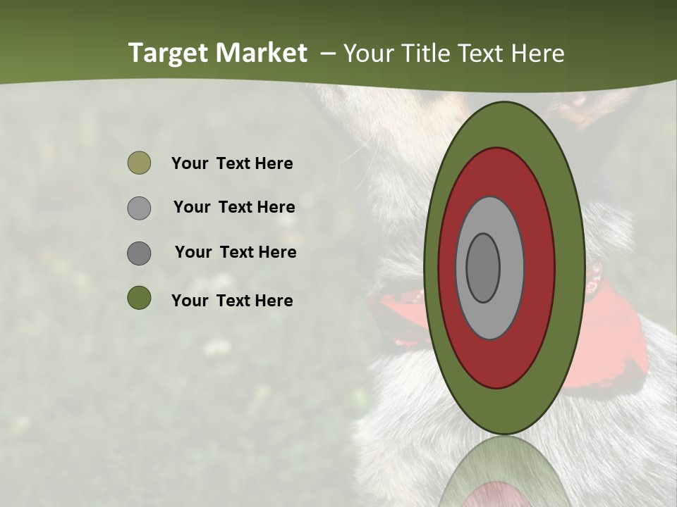 8 Week Old Blue Heeler Puppy Dog PowerPoint Template