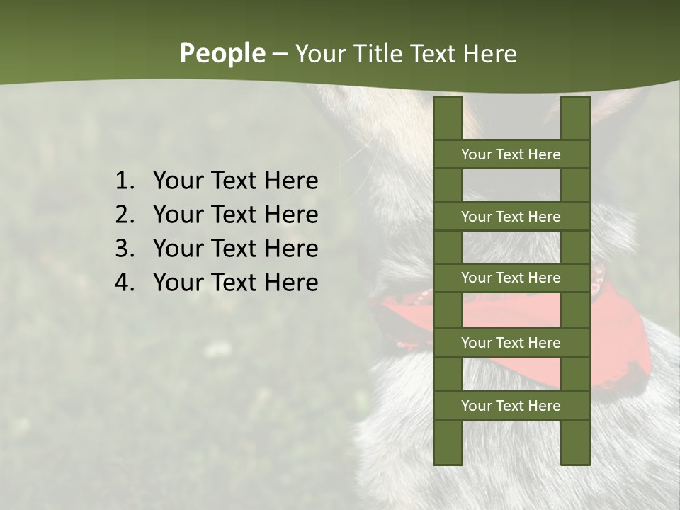 8 Week Old Blue Heeler Puppy Dog PowerPoint Template