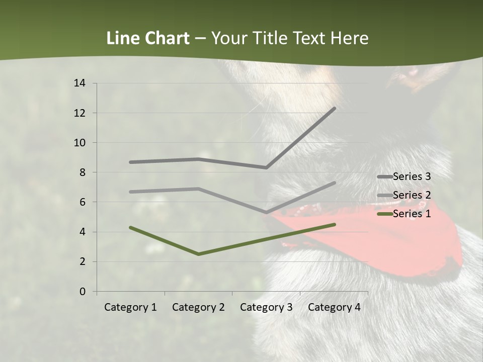 8 Week Old Blue Heeler Puppy Dog PowerPoint Template