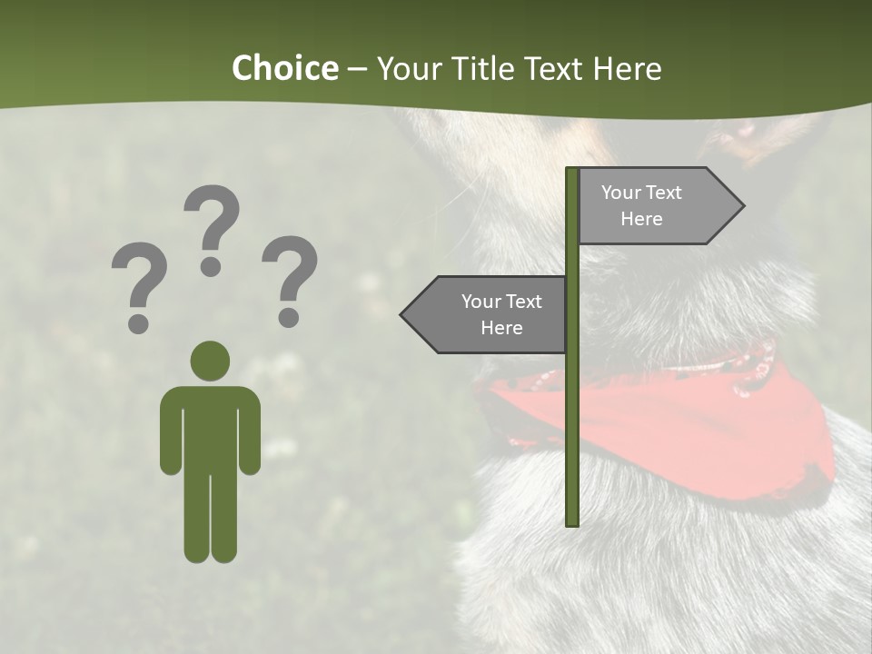 8 Week Old Blue Heeler Puppy Dog PowerPoint Template