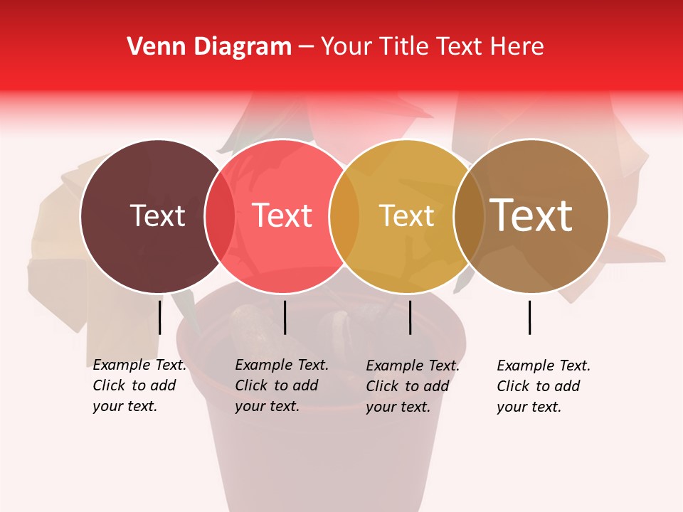 Composition Of Origami Flower Figures (Isolated On White) PowerPoint Template