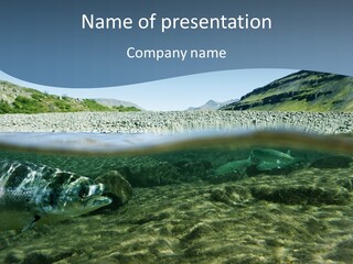 Unique Shot Of A Fishing River Underwater And Landscape Above PowerPoint Template